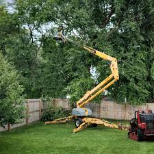 Best Hazardous Tree Removal  in Lindale, TX